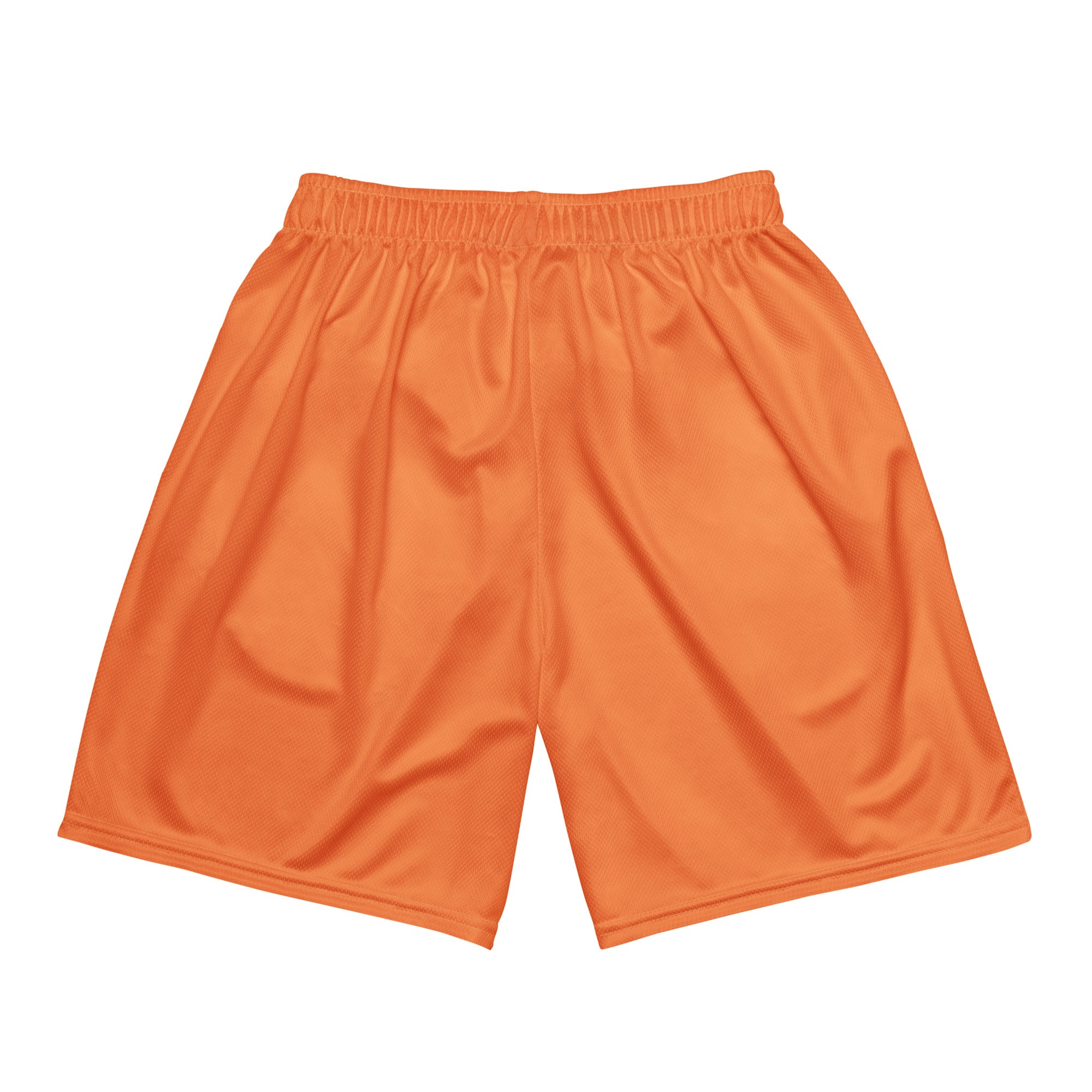 Basketball shorts Air Ballers