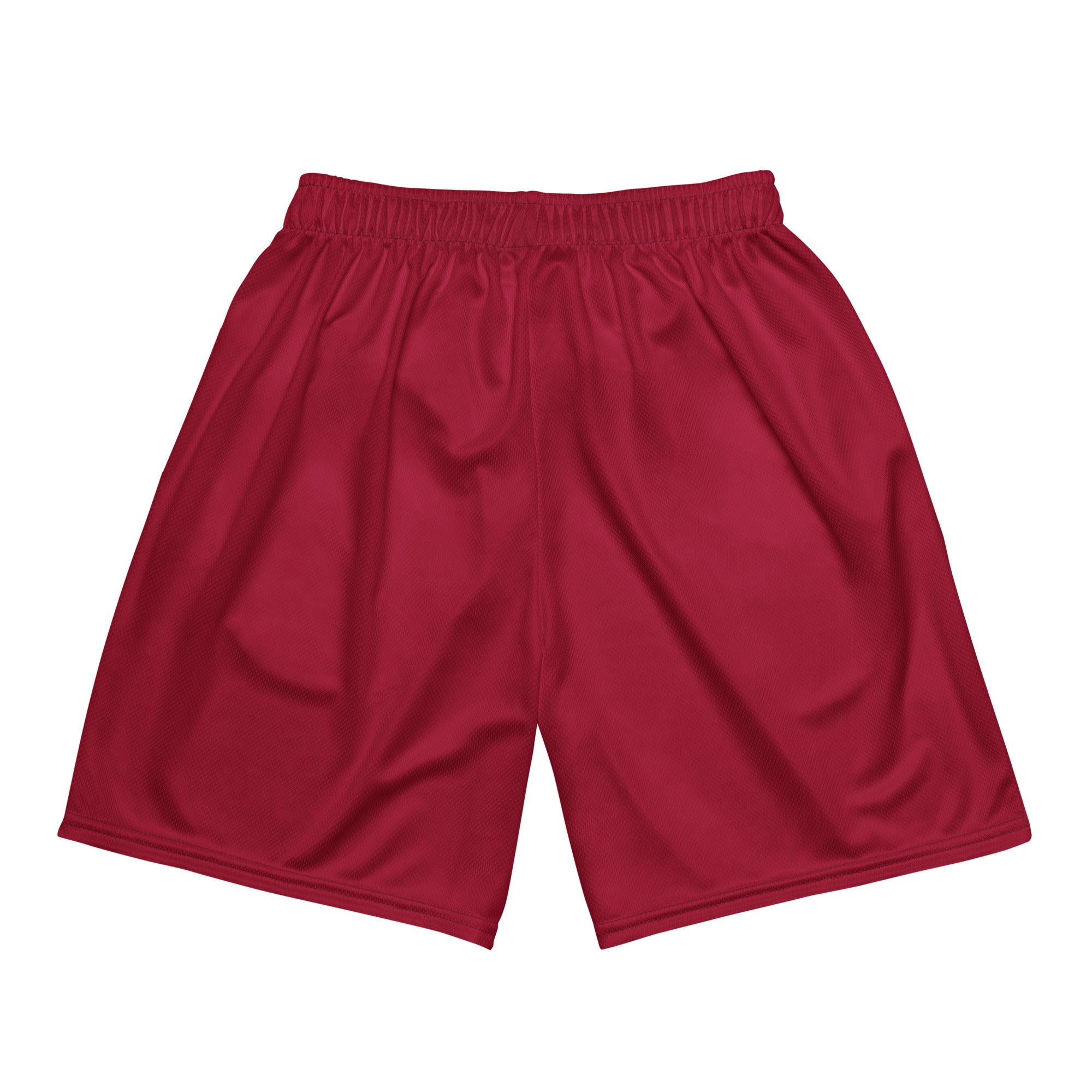 Basketball shorts Net Ripers