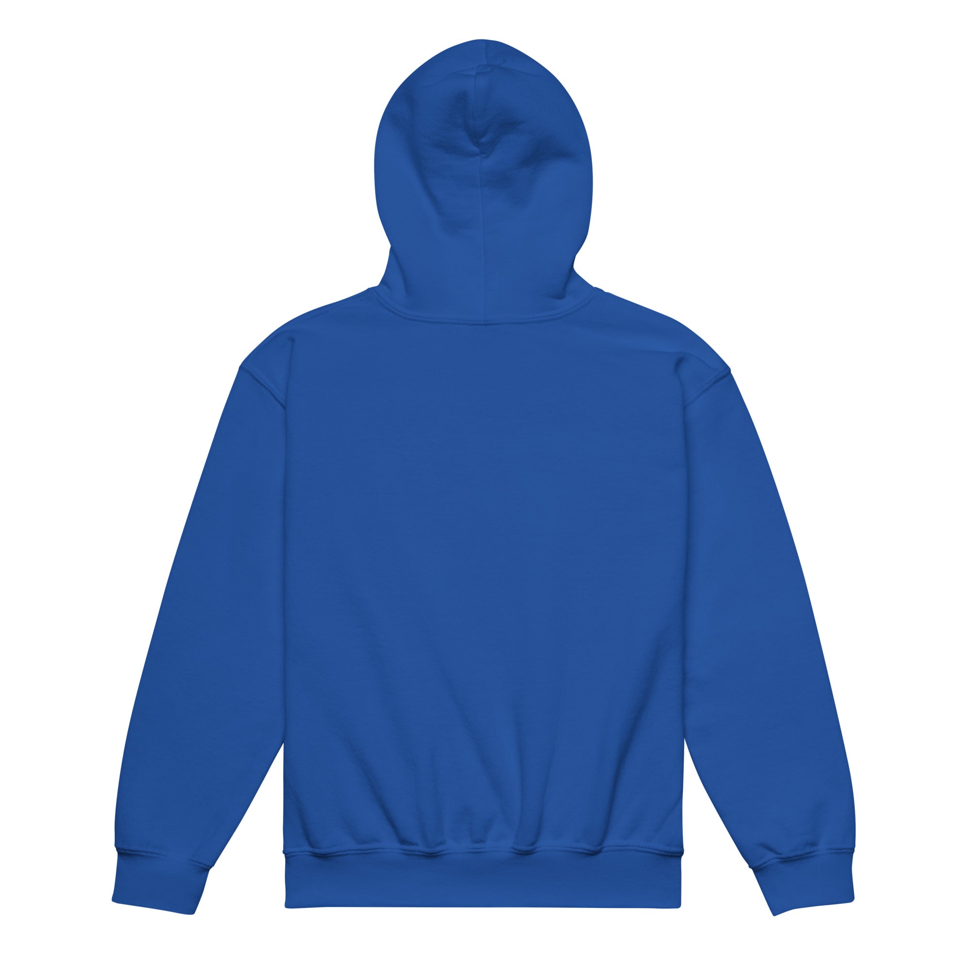 Youth heavy blend hoodie Not Fast